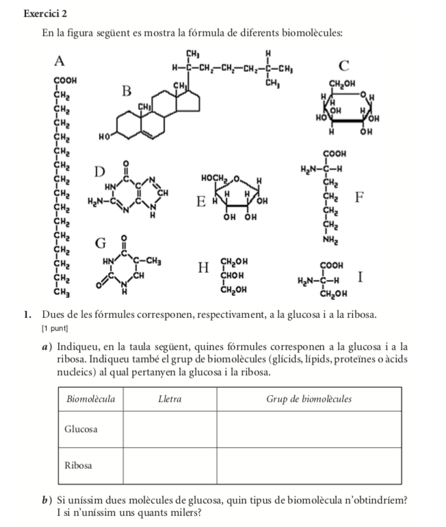 Ejercicios Biomol culas Codigodoctora Ejercicios Biomol culas Codigodoctora